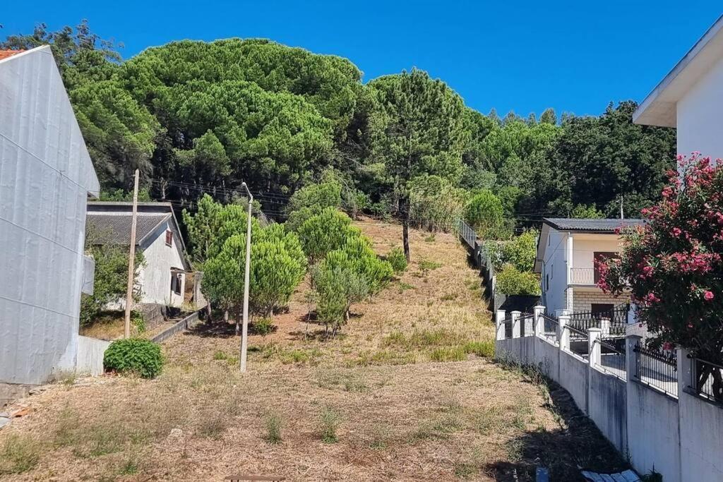 Apartamento Palomar ポンバル エクステリア 写真